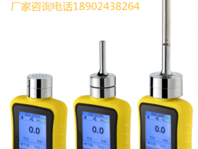 2020款数据存储型盐酸气体分析仪便携式盐酸气体报警器实力厂家特销
