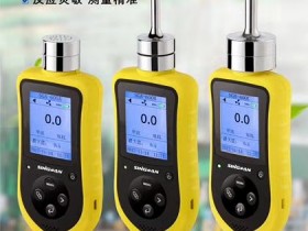 2019年便携式恶烷气体报警器升级版