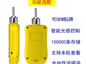 2019款深国安手持式磷化氢气体报警器功能升级成功