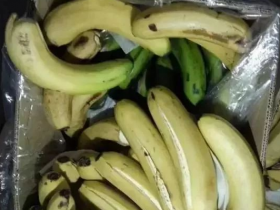 瓜果催熟行业专用二氧化碳传感器模块-二氧化碳检测模块限时测试价