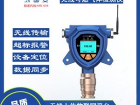 北京防火防爆型可燃气体检测仪在火灾隐患中的作用