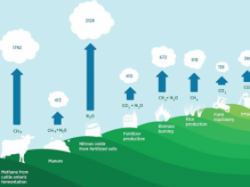 蓝天守护者-深国安温室气体自动检测系统