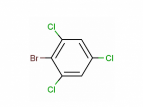 带液晶显示三级报警IP67防护等级的三氯苯检测仪