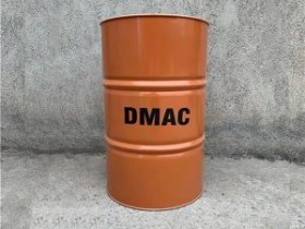 本安型0-5ppm手持式DMAC报警器