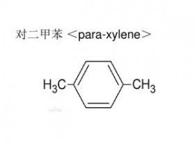 2023款实时监控型带闪光报警的对二甲苯气体探测器