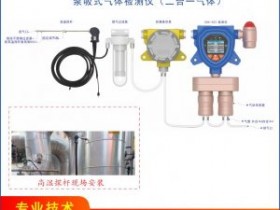带消防认证的无线固定一体泵吸式二合一气体检测仪