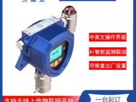 在线C2H6S快速检测二甲基硫侦测器