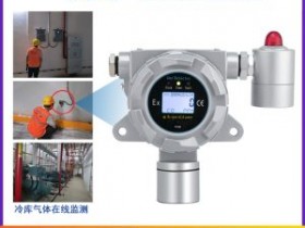 个性化定制冷库专用型氟利昂气体检测仪