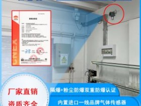 双防爆认证带粉尘防爆气体检测仪