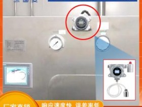 无菌传递舱专用臭氧0-1ppm高精度检测仪