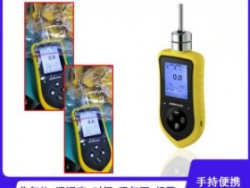 化工行业巡检专用型手持式乙酸乙脂气体检测仪