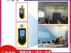石化企业巡检专用型便携式多合一气体检测仪