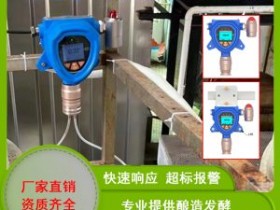 酿造发醇行业专用0-5000ppm二氧化碳检测仪