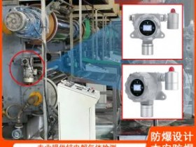 高精度多量程锌电解行业专用dmc气体检测仪