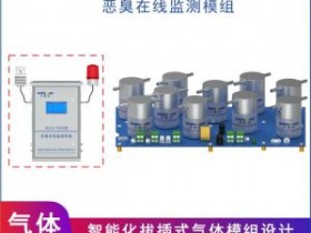 北京多参数恶臭监测模组