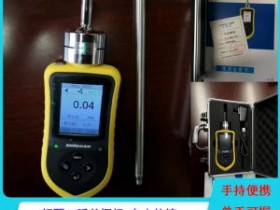 天津化工厂专用便携探杆式三氧化硫气体检测仪