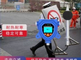 雄安新区工业噪声污染专用检测仪