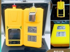 2024款复合型可燃二合一气体检测仪