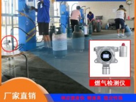北京昌平燃气站专用可燃气体检测仪