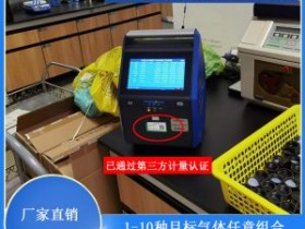 走航车专用十合一气体分析仪带卫星定位
