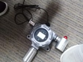 2024款带标定还计量的数显型氨气检测器