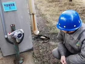 26年新款扩散采样式三联苯气体检测仪-C18H14气体侦测器-带支架安装