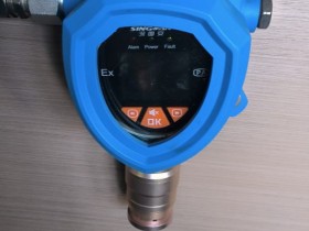 26年新款隔爆型叔丁醇检测仪-C4H10O气体报警器-带SIL安全认证