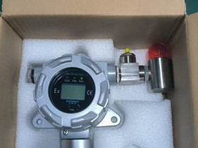 壁挂式硫化氢(H2S)气体检测仪-CT6防爆/带校准报告