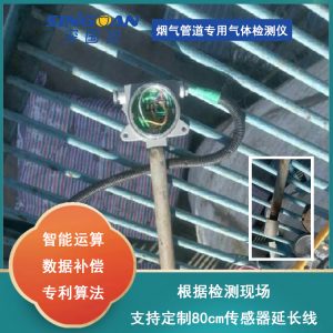 烟道管道专用高温可燃气体检测仪